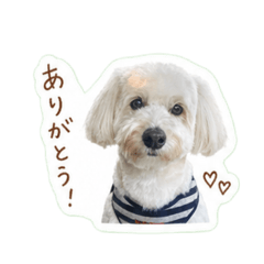 amane_20260504000828