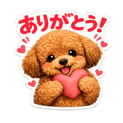 sakkina_20260504001154