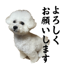 Aeoki_20260504000511