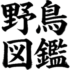 賞鳥毛筆字 發現野鳥 專業應援用
