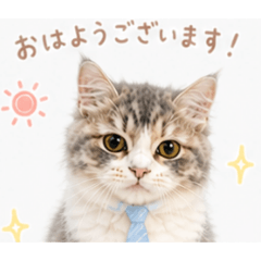 moka_cat_20260504001726