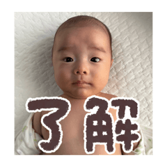 tora_20260504001851