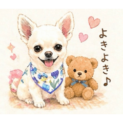 misa_LOUIS