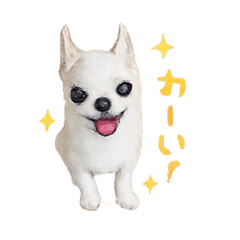 megumimi_20260504102149