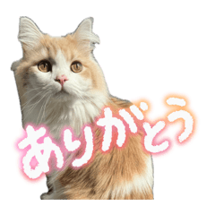 Naki_20260504102341