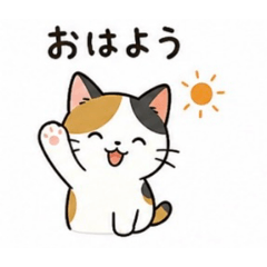 Wanchi_20260504094846