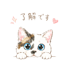 MARUKO NARUKAMI_20260504102522