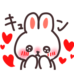 Simple White Rabbit  Daily Life