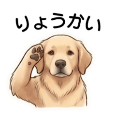Happy Golden: Daily Stickers