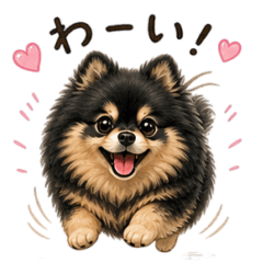 Black Pomeranian Stickers
