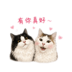 黑糖漢堡包3