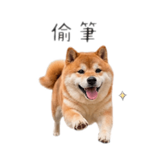 偷筆Toby とビ