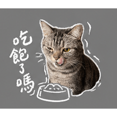 呆呆Rich的可愛日常