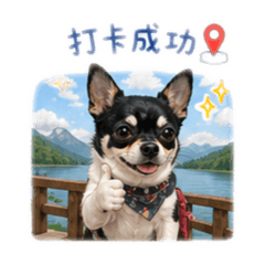 可愛又調皮的泡芙-上班出遊篇