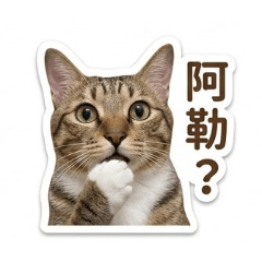 喵喵開心