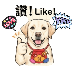 卡哇依拉拉虎妹日常1