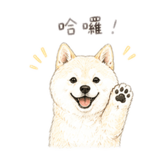 Didi來囉！