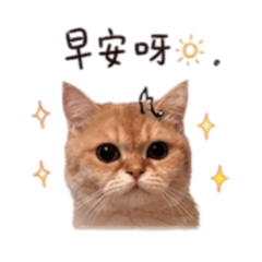 丁財財系列