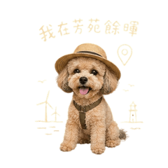 圓圓仔2