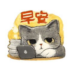 灰的日常