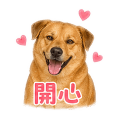 我是俄羅斯呦