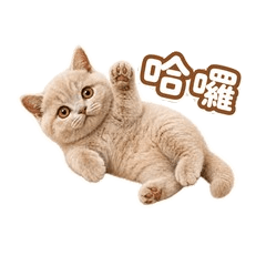 曼赤肯_阿布(去背)
