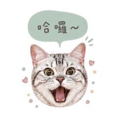 小貓貓仔咪ʕ •ᴥ•ʔ
