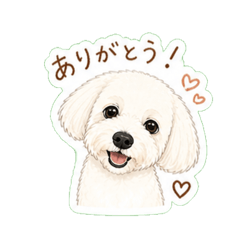 amane_20260504002812