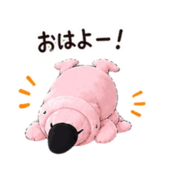 Shurinrin_20260504104724