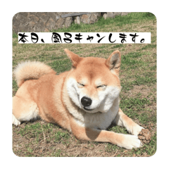 asahi chan_20260504002729