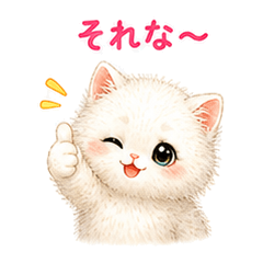 Fluffy White Cat: Casual Chat