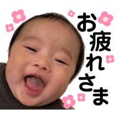 wakana_20260504110012