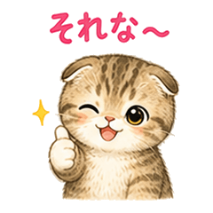 Fold-Ear Cat: Casual Vibes