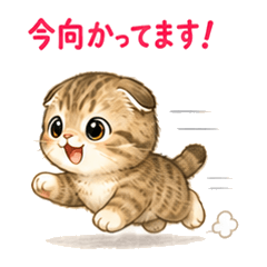 Fold-Ear Cat: Daily Life Vol.2