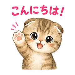 Fold-Ear Cat: Daily Greetings