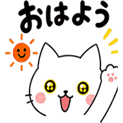 Soft White Cat: Daily Greetings