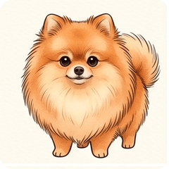 Pomeranian Realistic Cute Stickers!