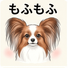 Papillon Realistic Cute Stickers!