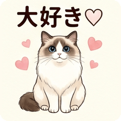 Ragdoll Cat Realistic Cute Stickers!