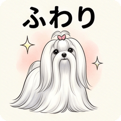 Maltese Realistic Cute Stickers!