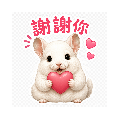MianBao and Mochi Chinchillas