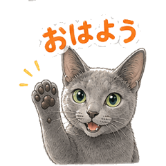Russian Blue Daily Mood