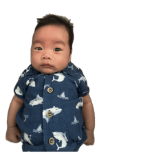 小寶貝肉圓(免）
