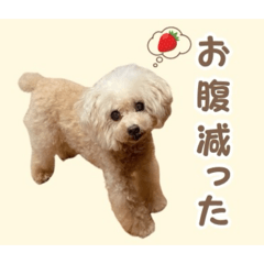 sasaki_peace