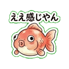 Sea Creatures Gone Kansai