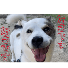 My_wa
