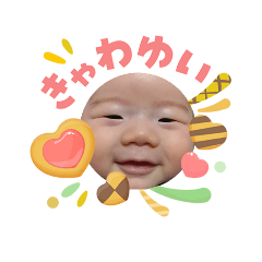 kusakana_20260504113511