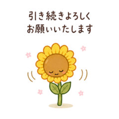 PUNA_20260504113415