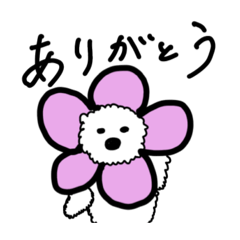 marcheselove_20260504120217