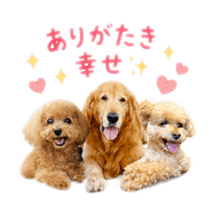 cukkychocococoa2